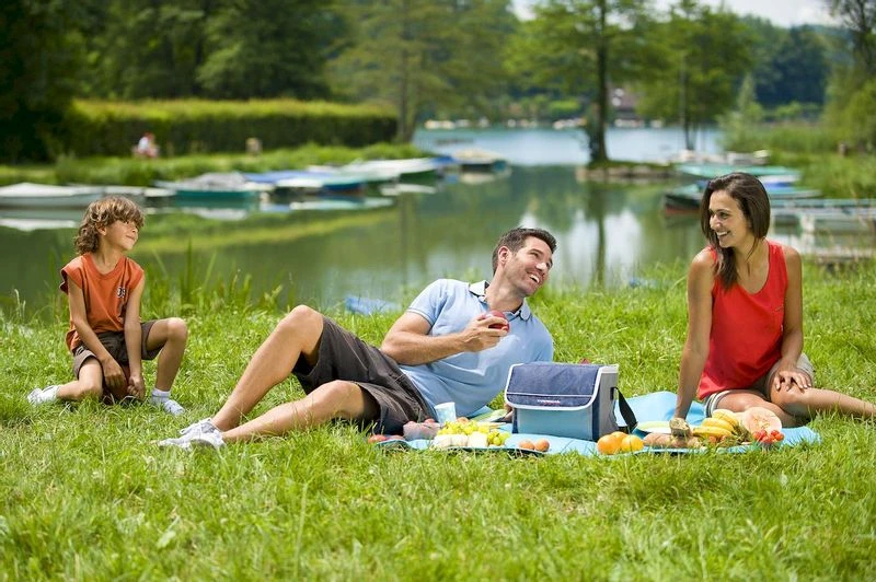 Campingaz Fold 'N Cool Koeltas - 10 Liter - Afbeelding 2